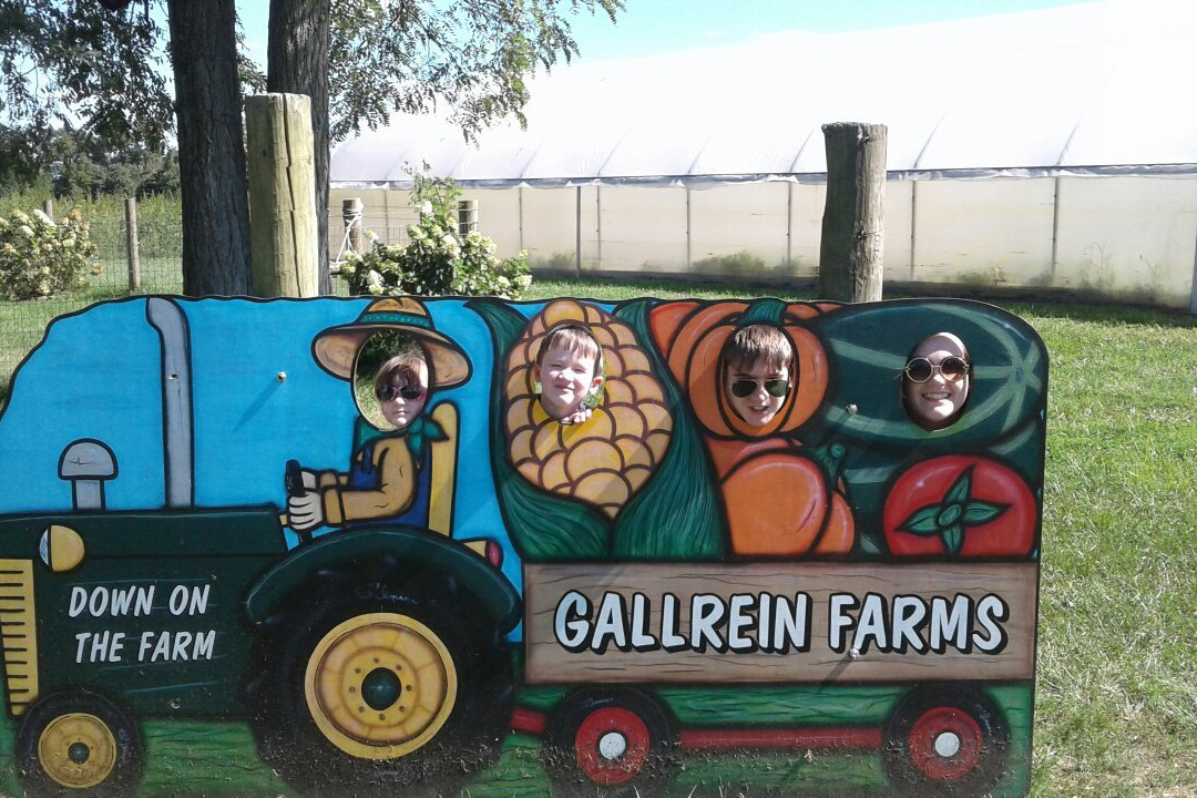 Gallrein Farms-谢尔比维尔必去景点