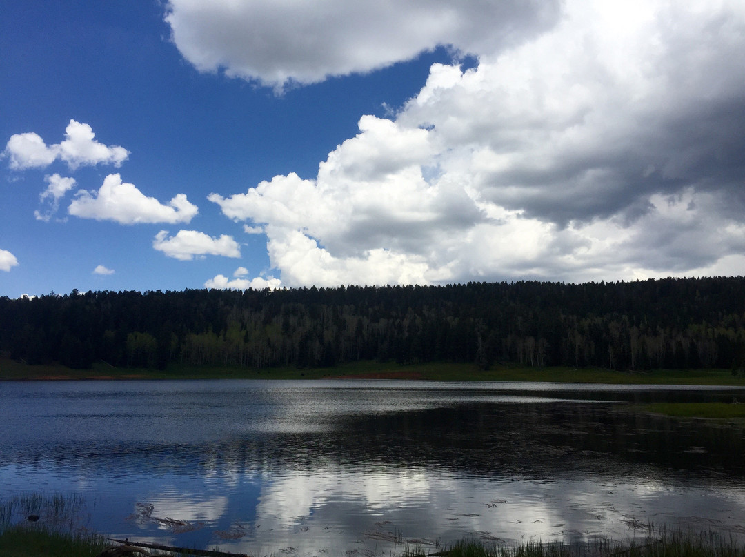 San Pedro Parks Wilderness-Cuba必去景点