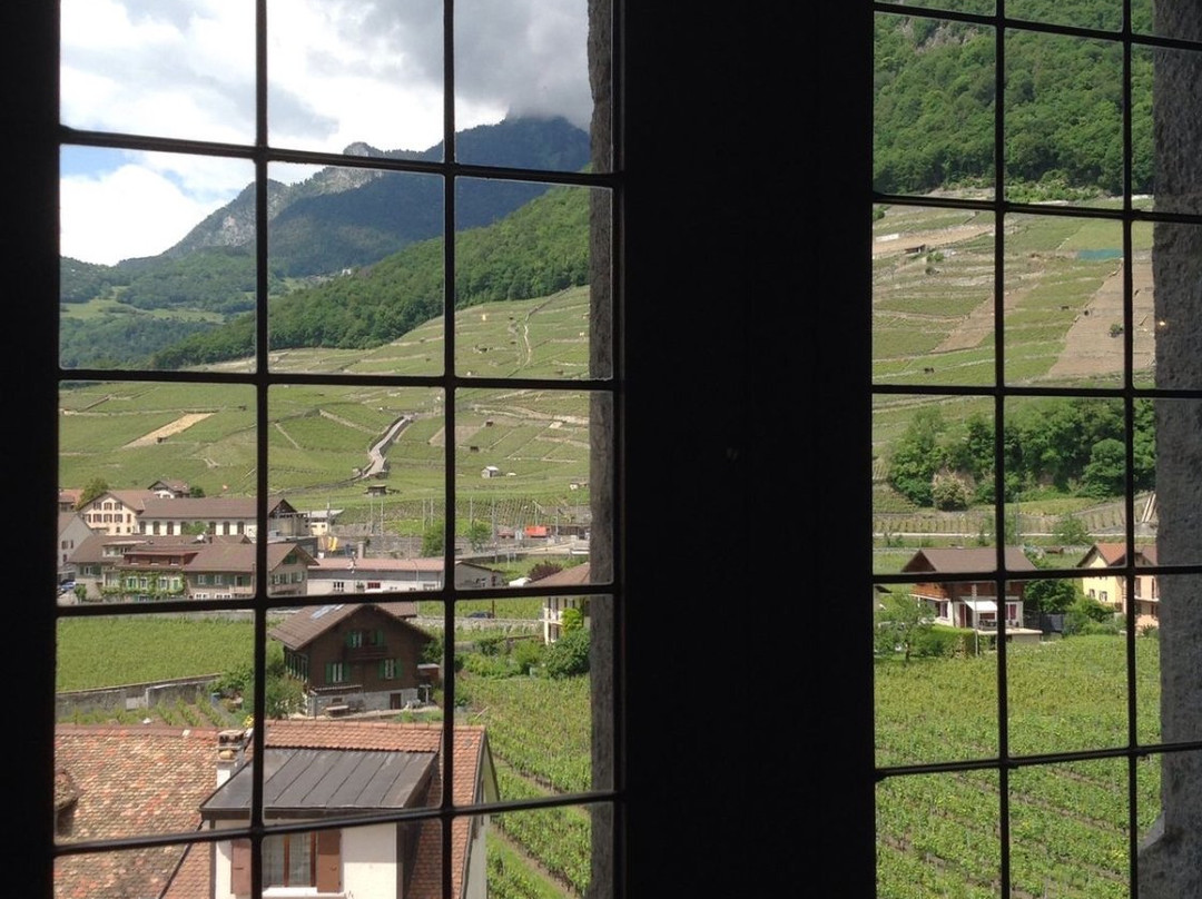 Vine, Wine and Wine Label Museum-埃格勒必去景点