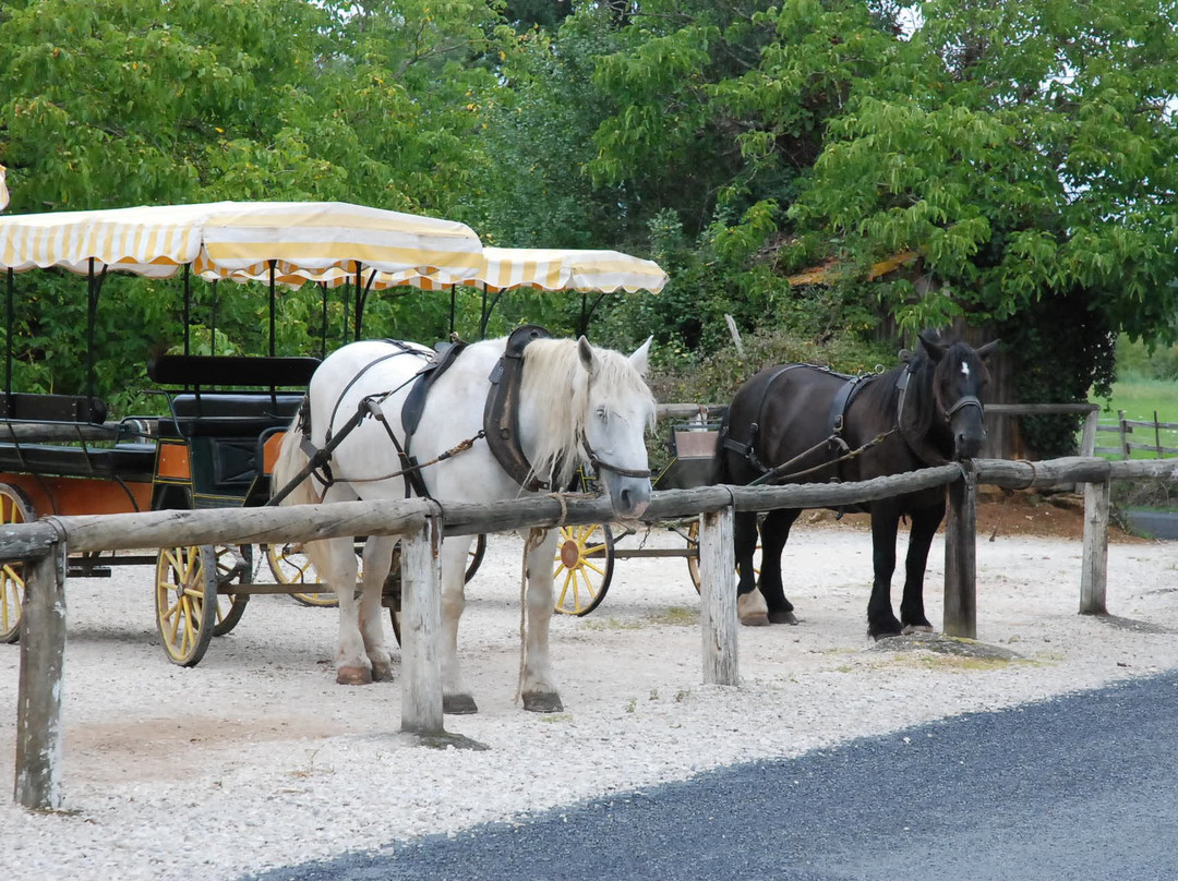 Périgord en Calèche-Mazeyrolles必去景点