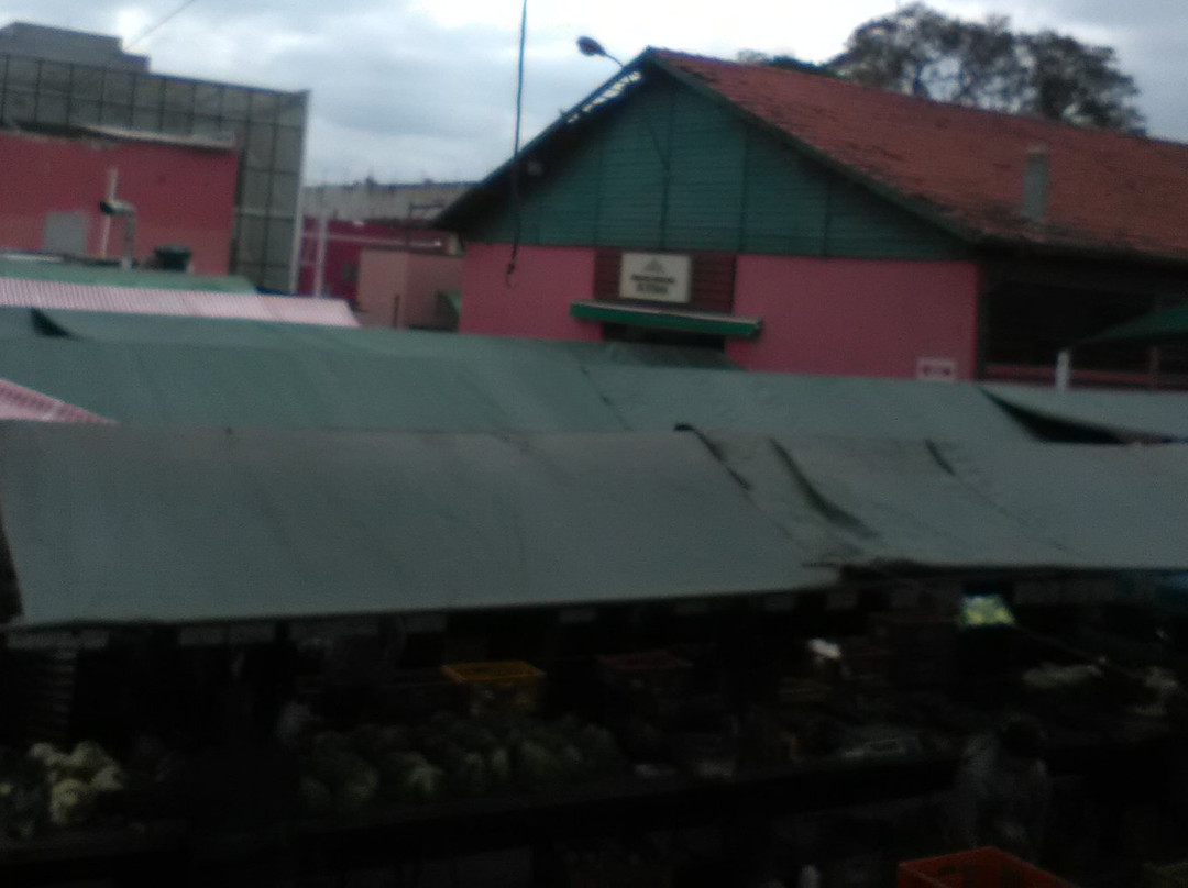Mercado Municipal de Atibaia-阿蒂巴亚必去景点