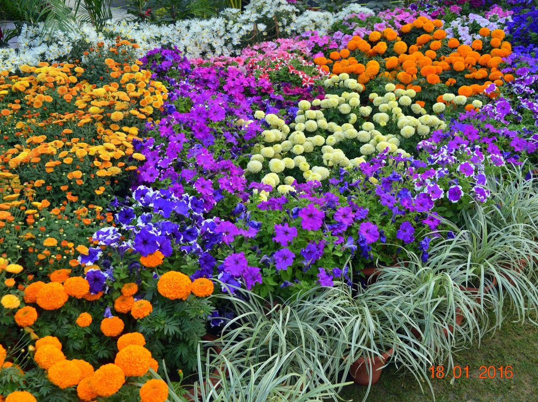 Gandhi Udyan Park-赖布尔必去景点