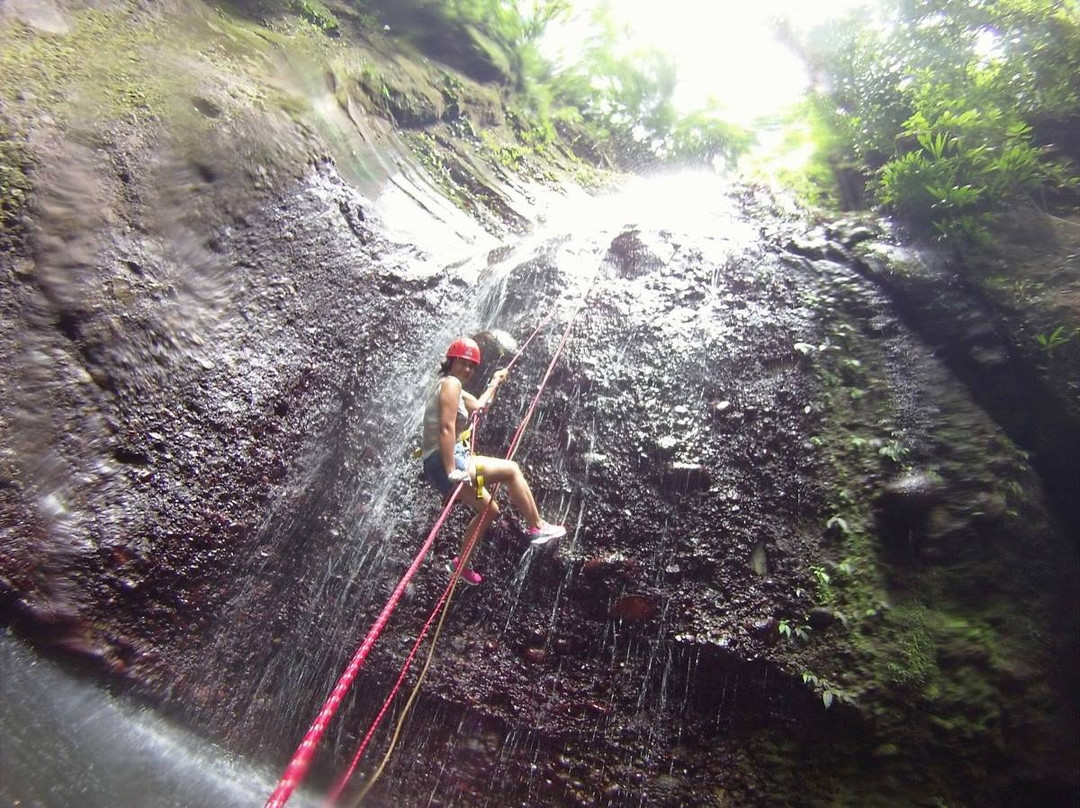 Eco Parque Agua Selva景点图片