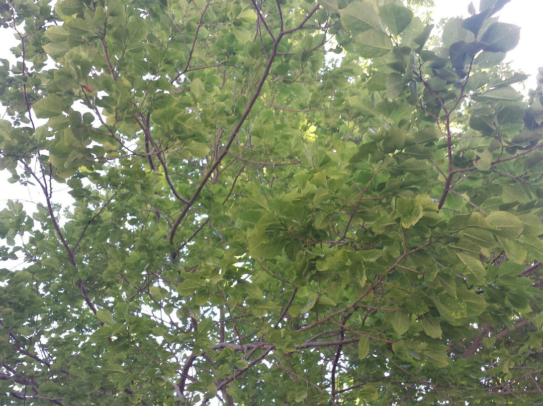 Orme nel Parco-Zagarise必去景点