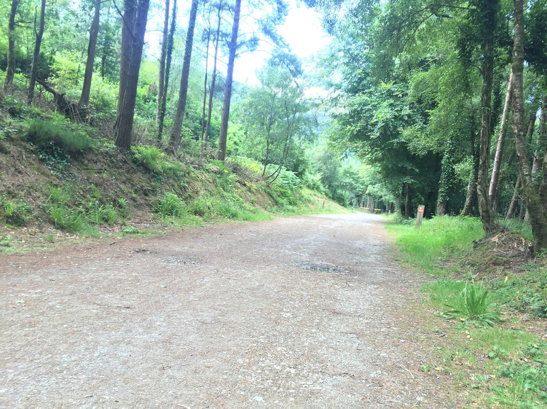 Ballyhoura Walking Trails-利默里克必去景点
