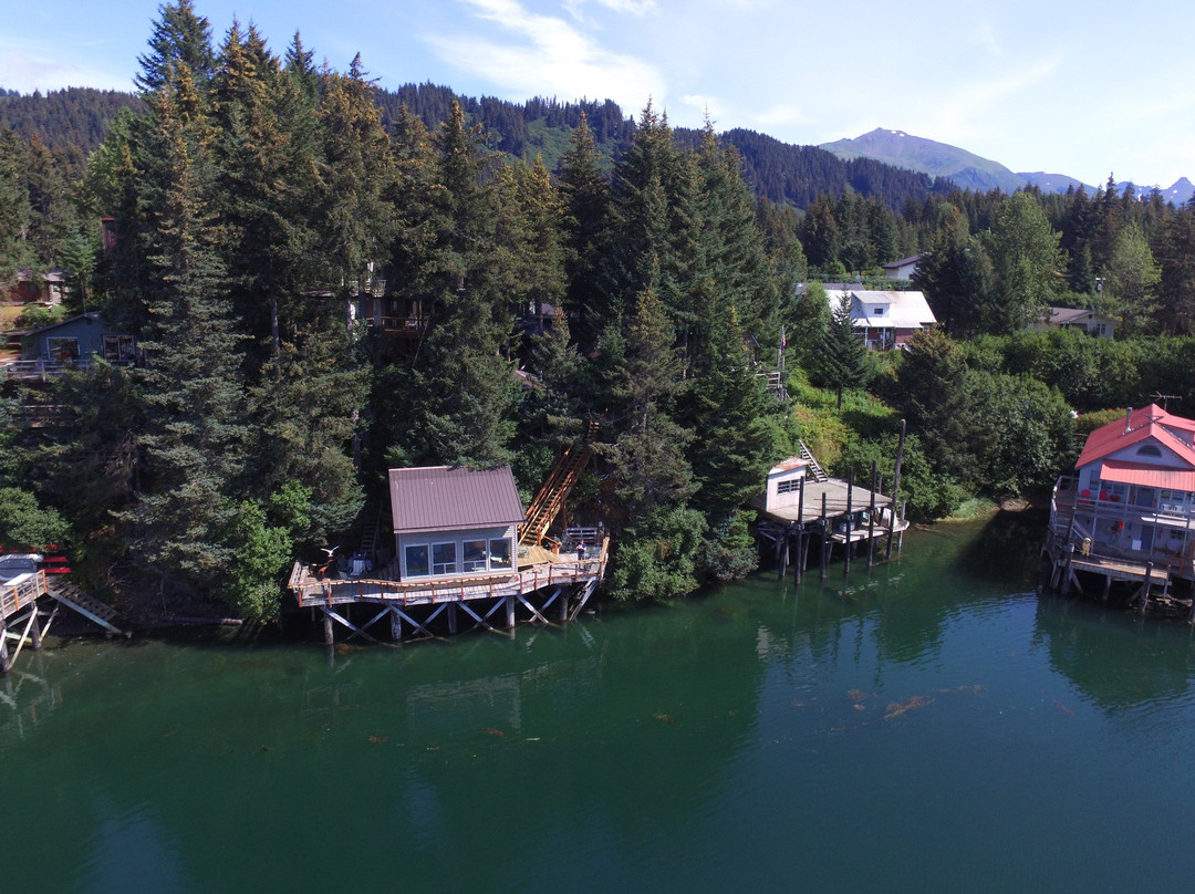 Seldovia Bed & Breakfast and Cabin Rental主图