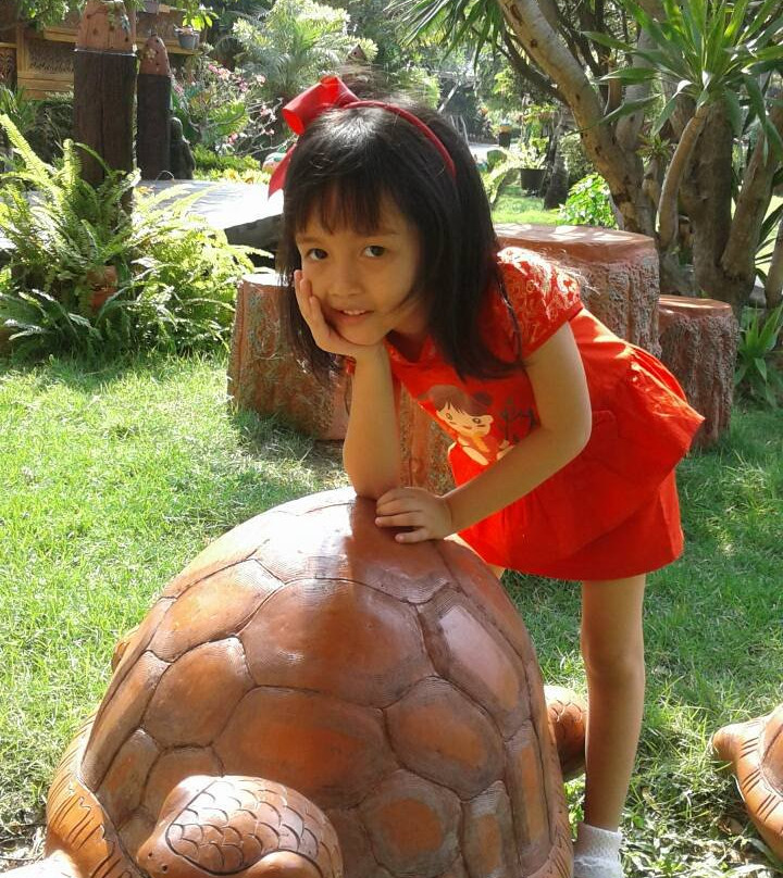 P.N. Gold Resort主图