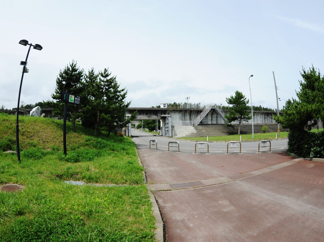 Taneichi Marine Side Park-广野町必去景点