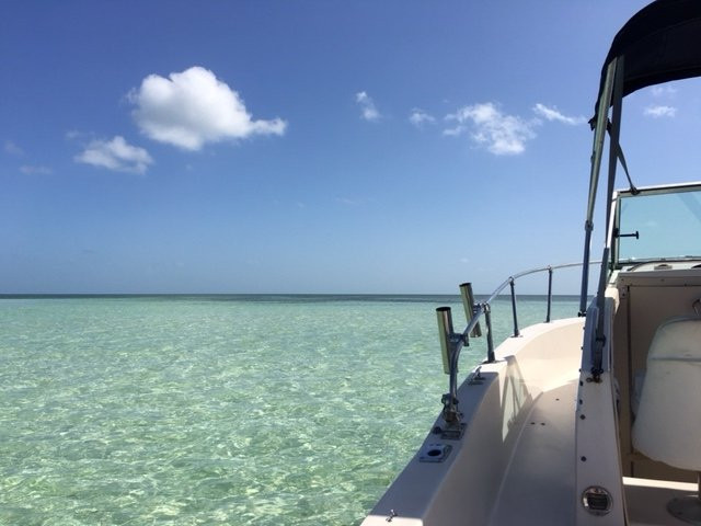 Nomadic SUP Paddleboard Eco Tours-基韦斯特必去景点