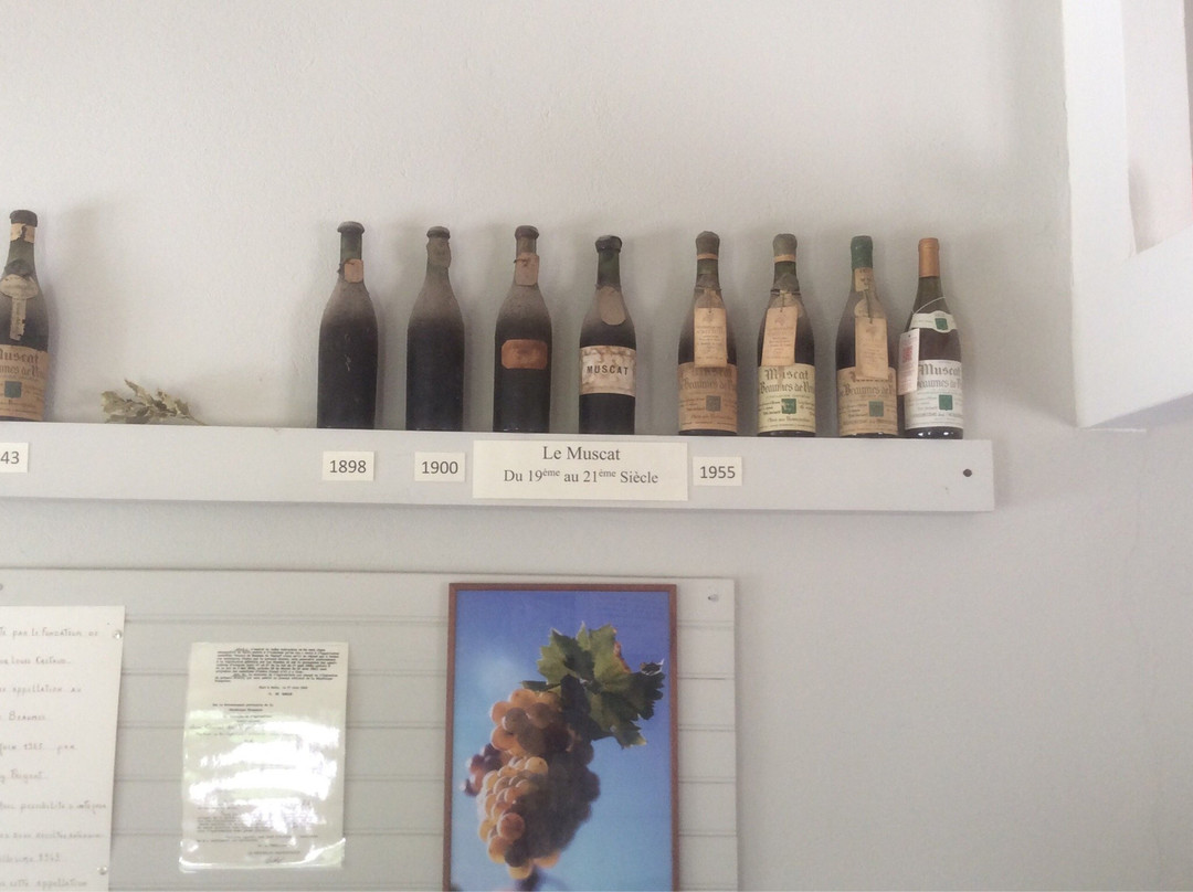 Domaine des Bernardins景点图片