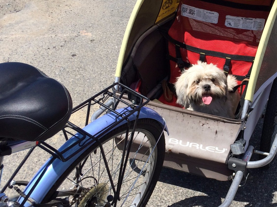 Lopez Island Bike Ride景点图片
