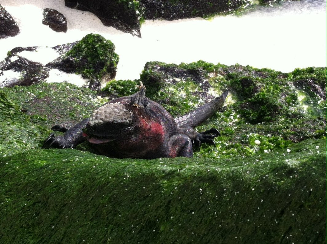 Cerro Brujo-圣克里斯托瓦尔必去景点