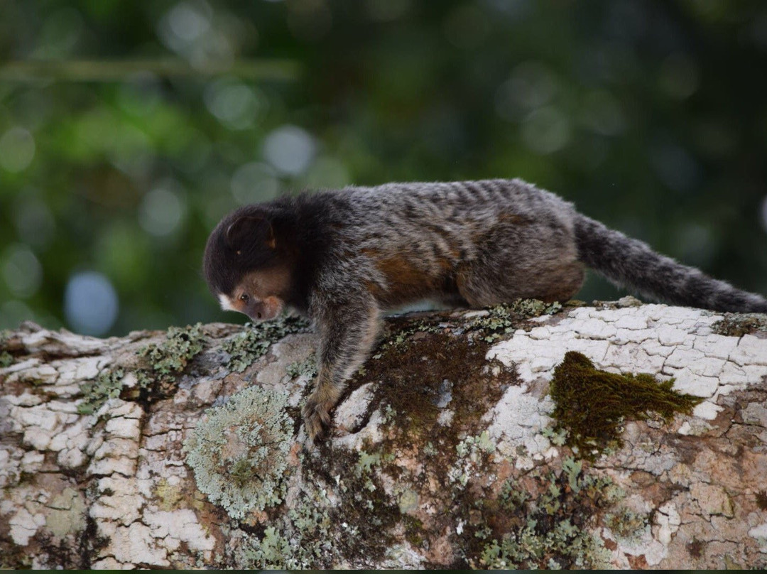 Mirante da BR 040-Juiz de Fora必去景点