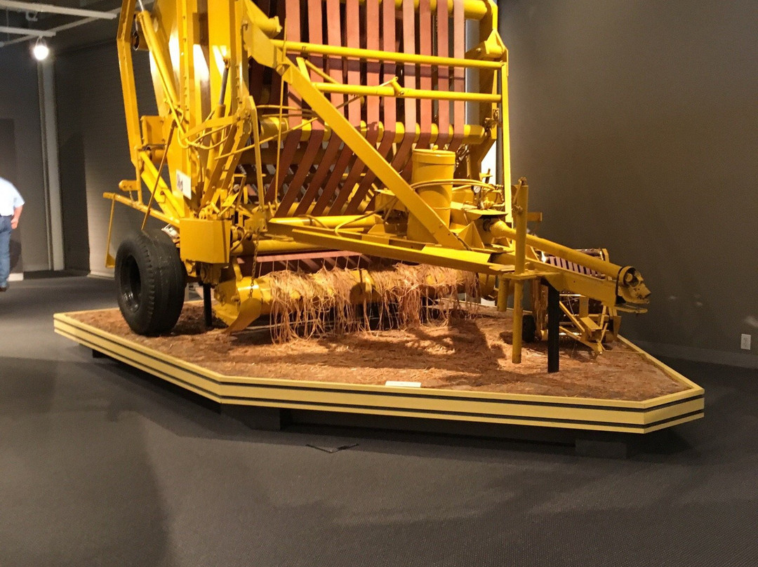 Vermeer Museum & Global Pavilion-Pella必去景点