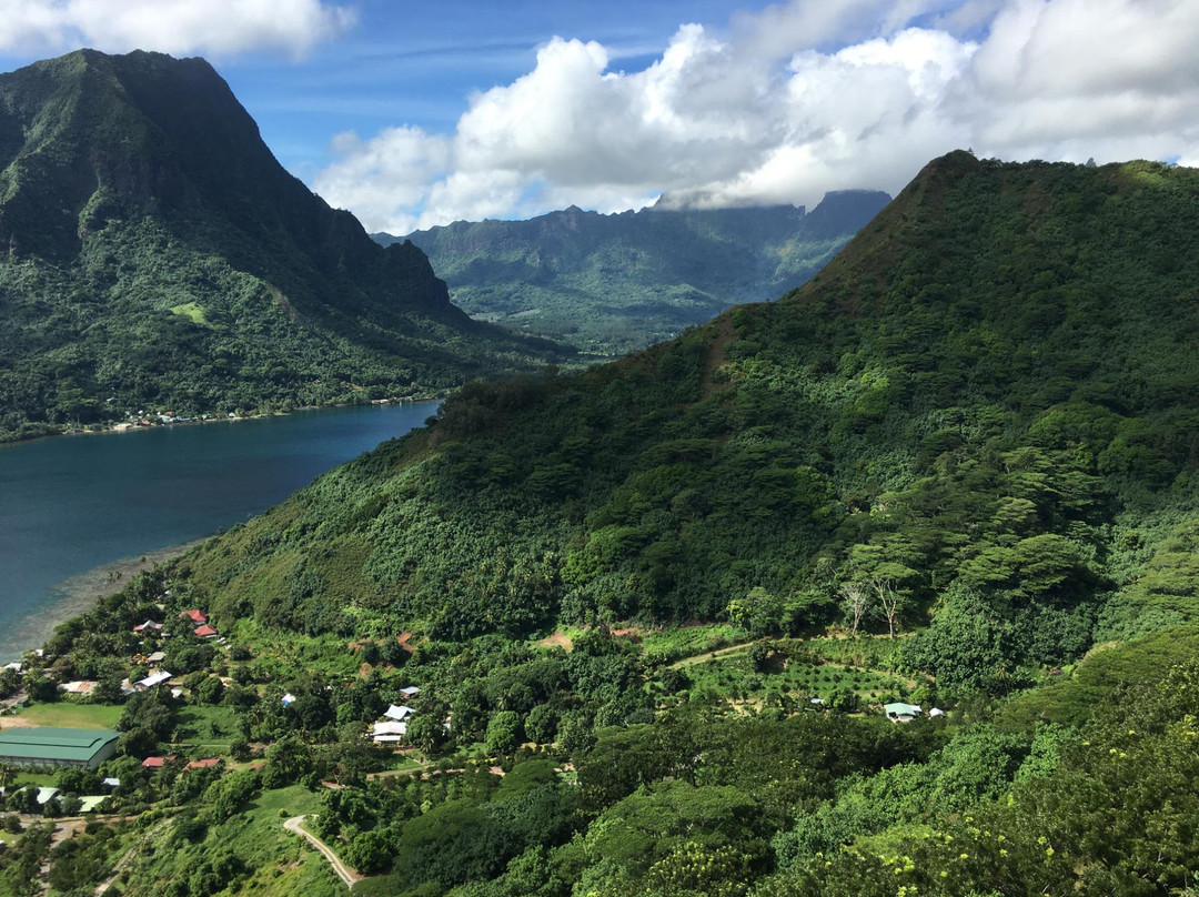Dammon's ATV Tours-马哈雷帕必去景点