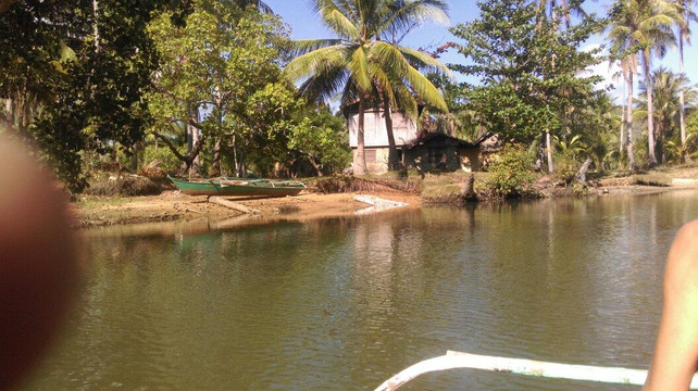 Mystic Mangrove Adventure-爱妮岛必去景点
