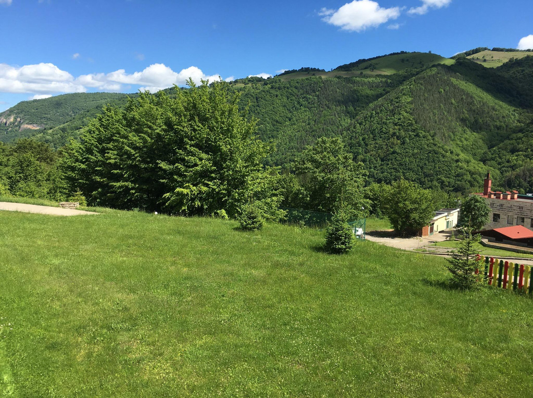 Park Hotel Ribaritsa主图