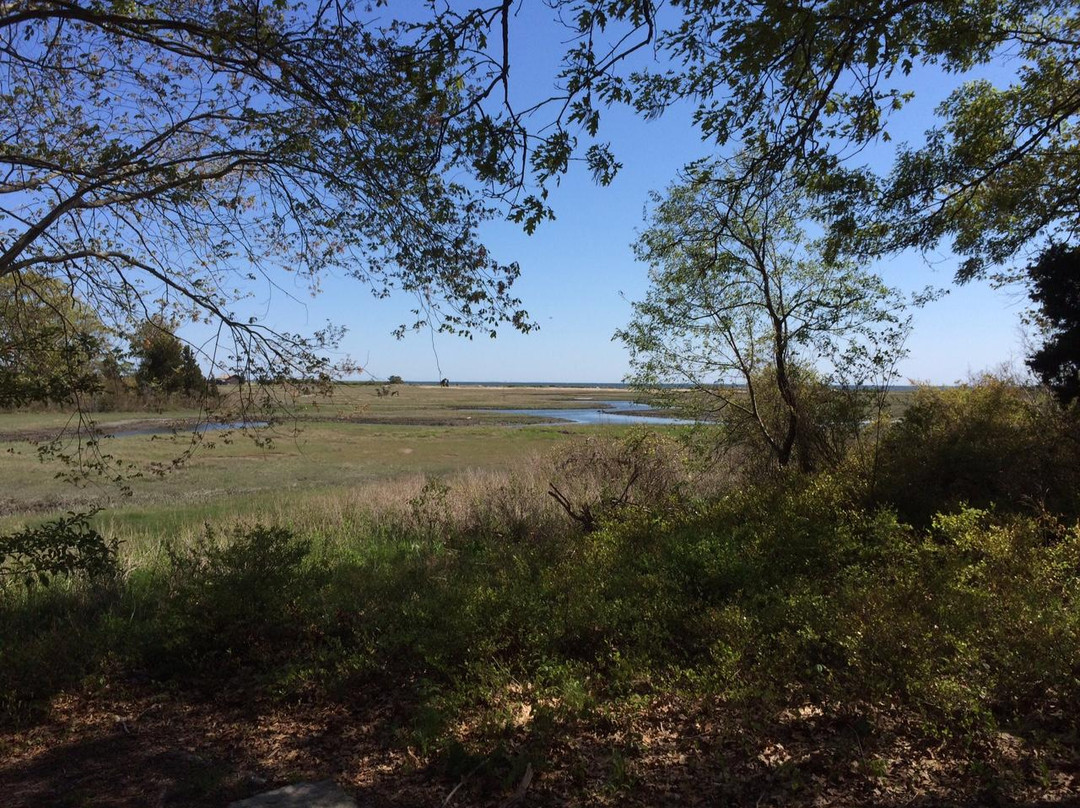 The Shoreline Greenway Trail-麦迪逊必去景点