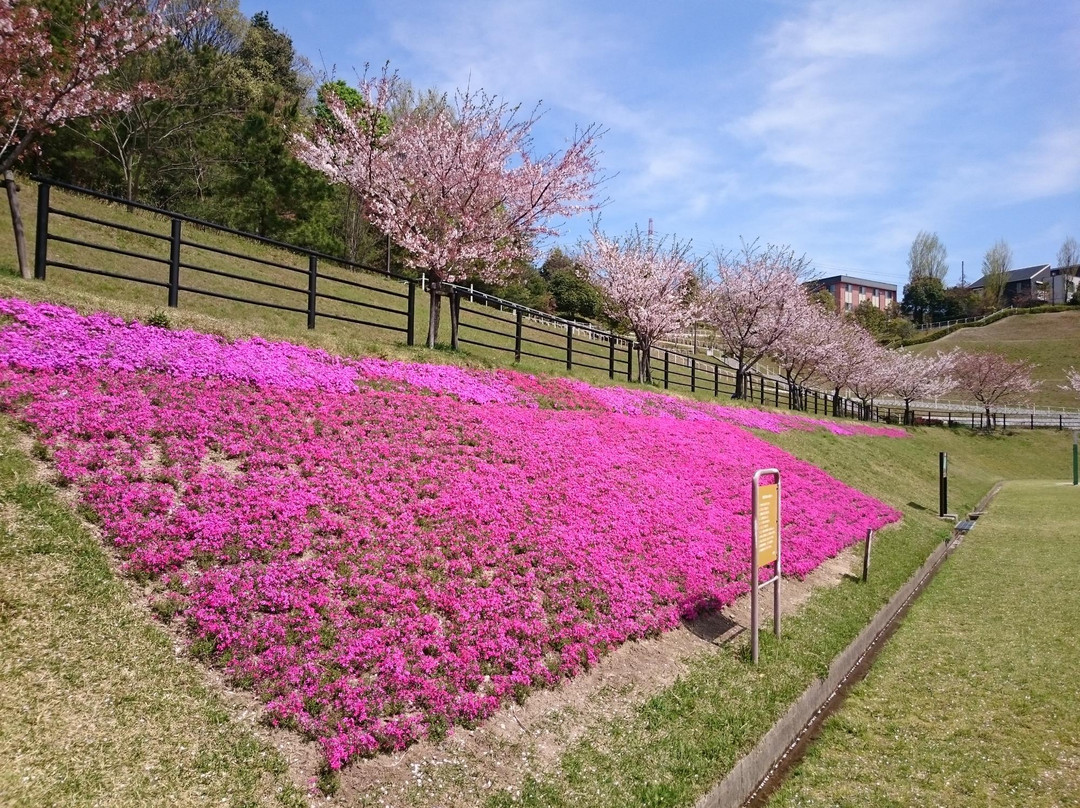 Harima Chuo Park-桑名市必去景点