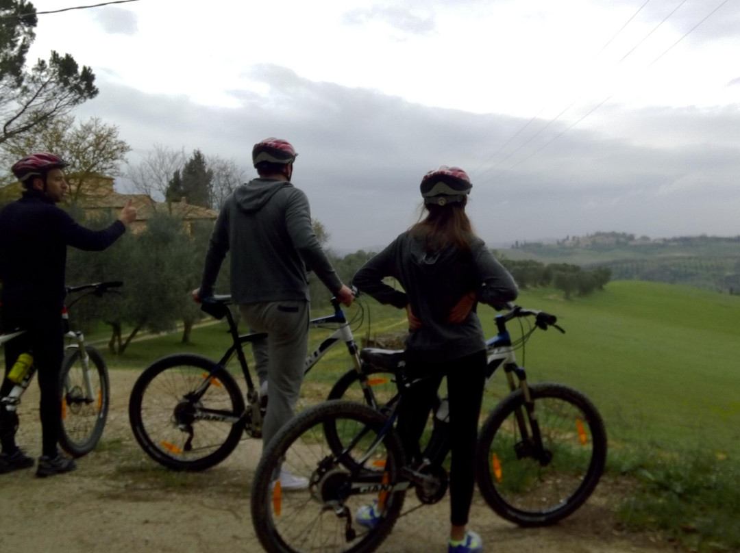 Up and Down the Chianti-锡耶纳必去景点