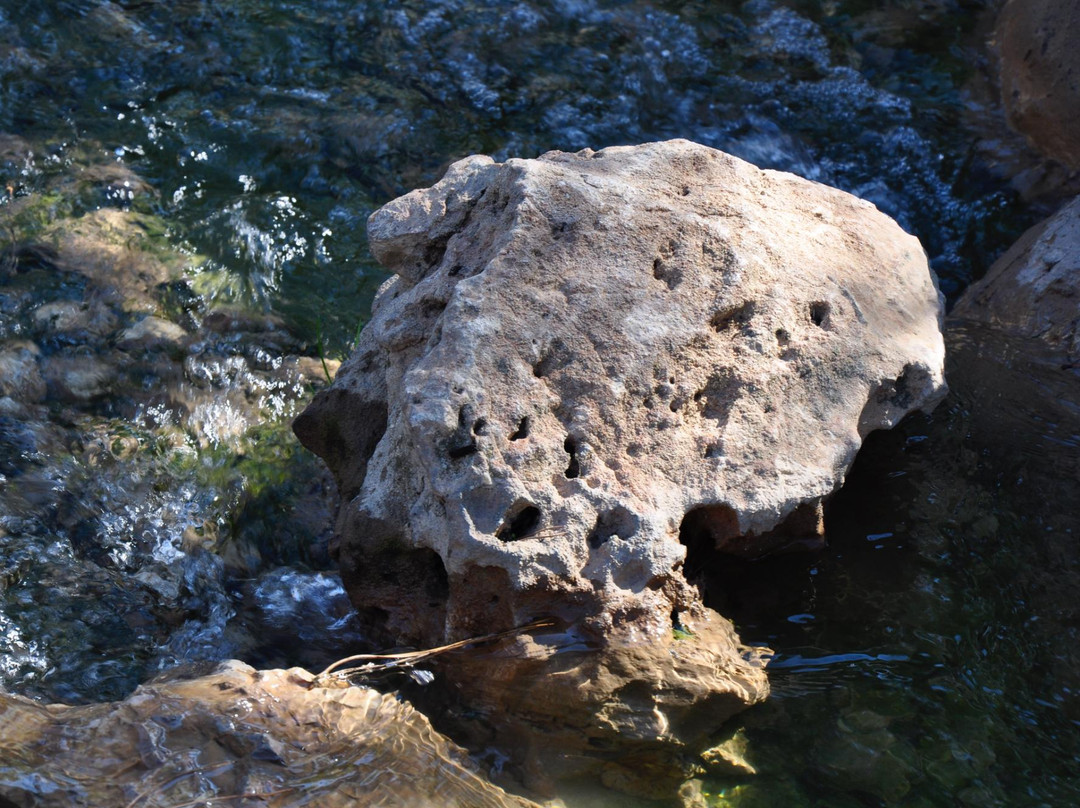 Independence Park-耶路撒冷必去景点