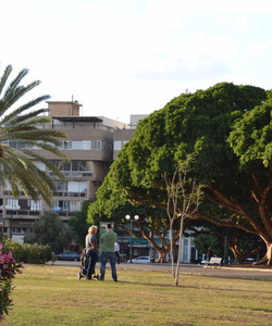 Kikar Hamedina景点门票图片