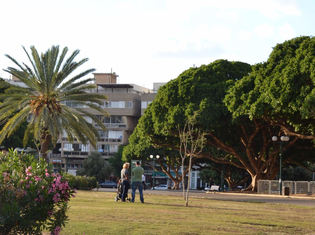 Kikar Hamedina-特拉维夫必去景点