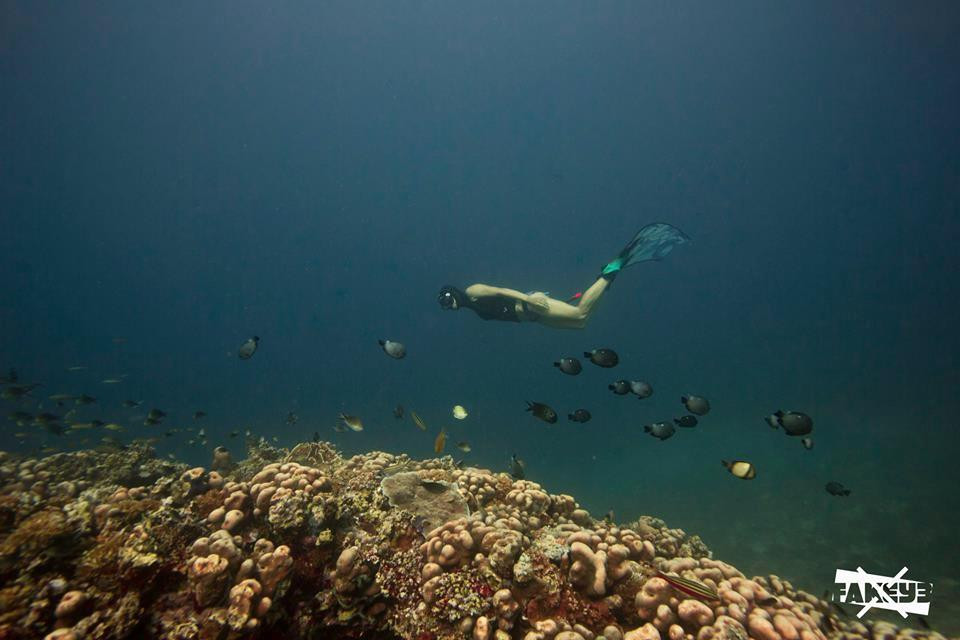 Freedive Blue Marine-Gili Air必去景点