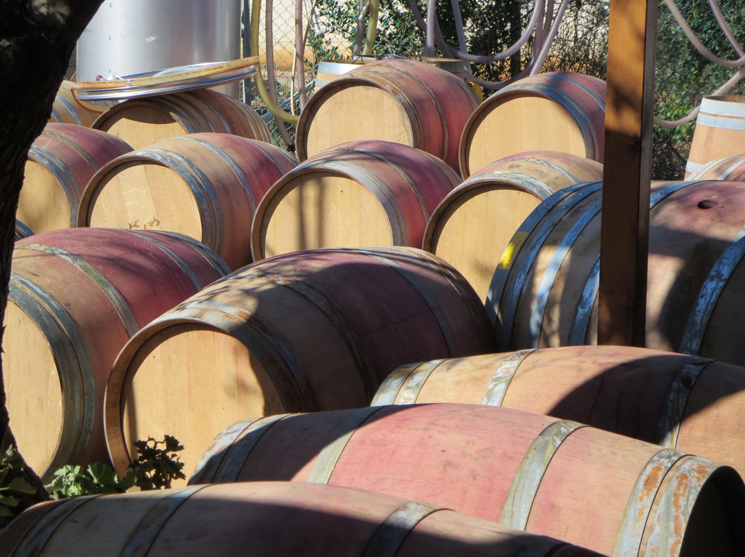 Israel Wine Journeys