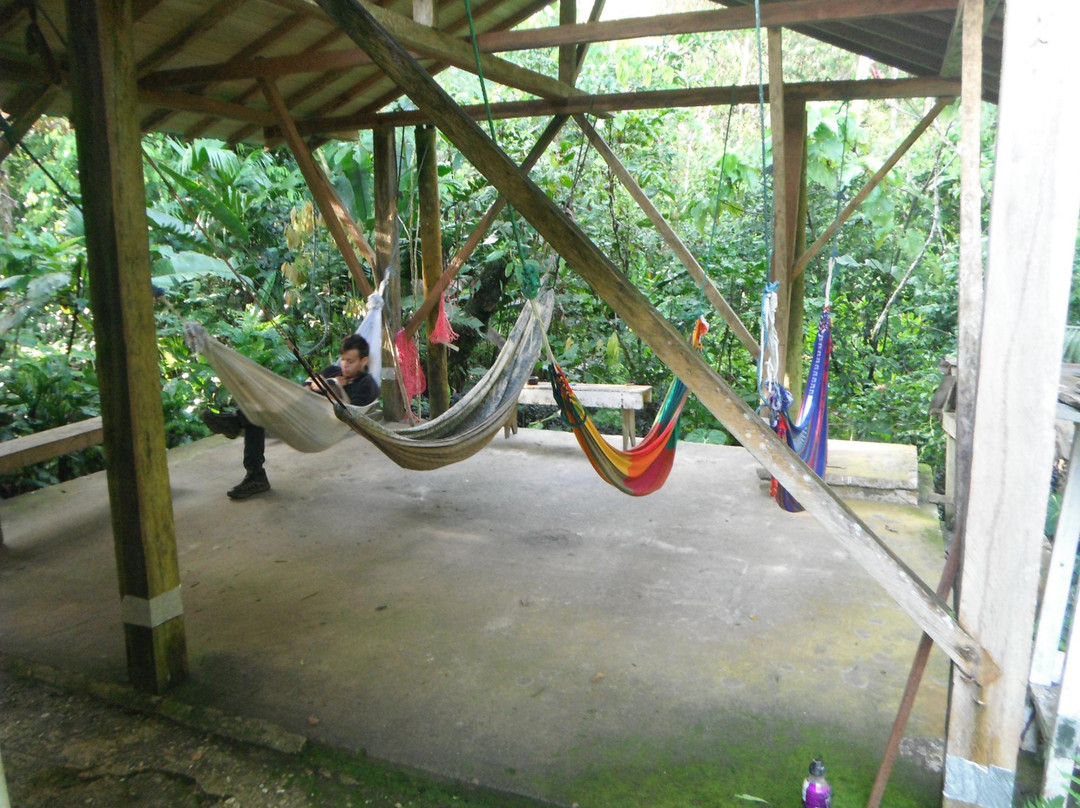 Jatun Sacha Biological Reserve-Misahualli必去景点