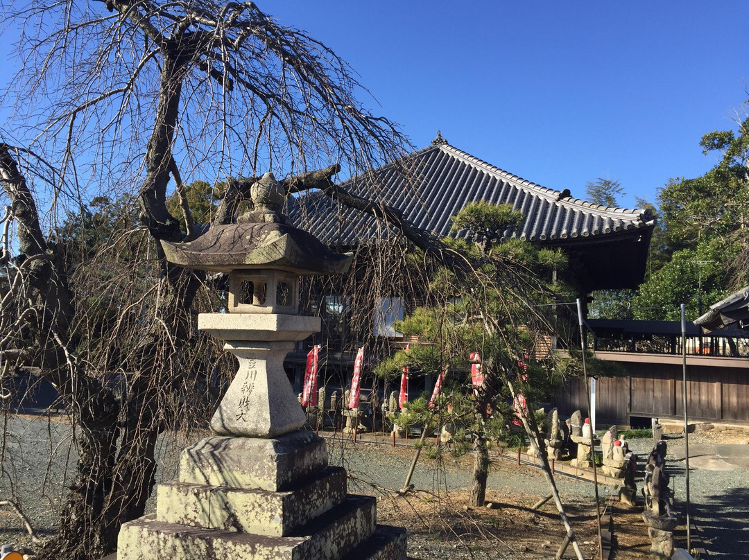 Sanmyoji Temple-丰川市必去景点