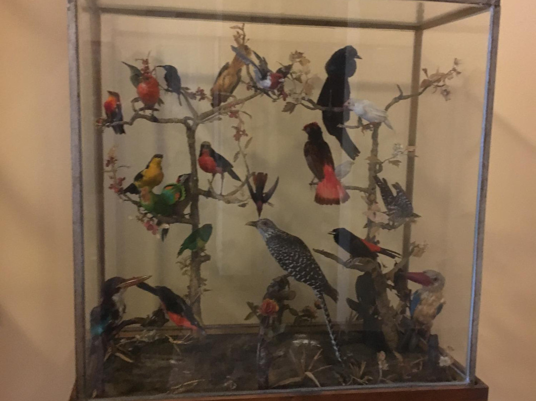 Museo di Storia Naturale di Lecco-莱科必去景点