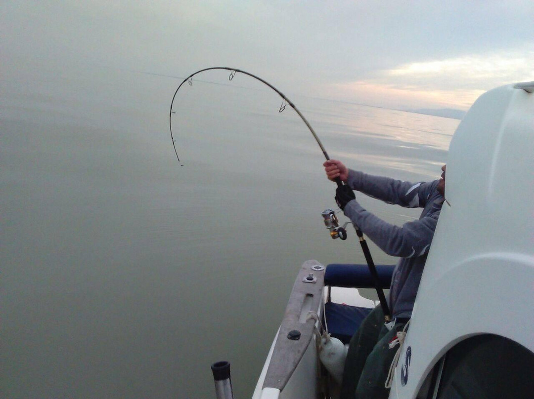Delta Game Fishing-代尔特布雷必去景点