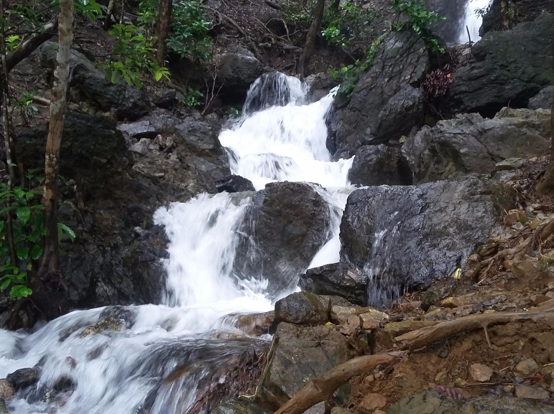 Diguisit Falls景点图片