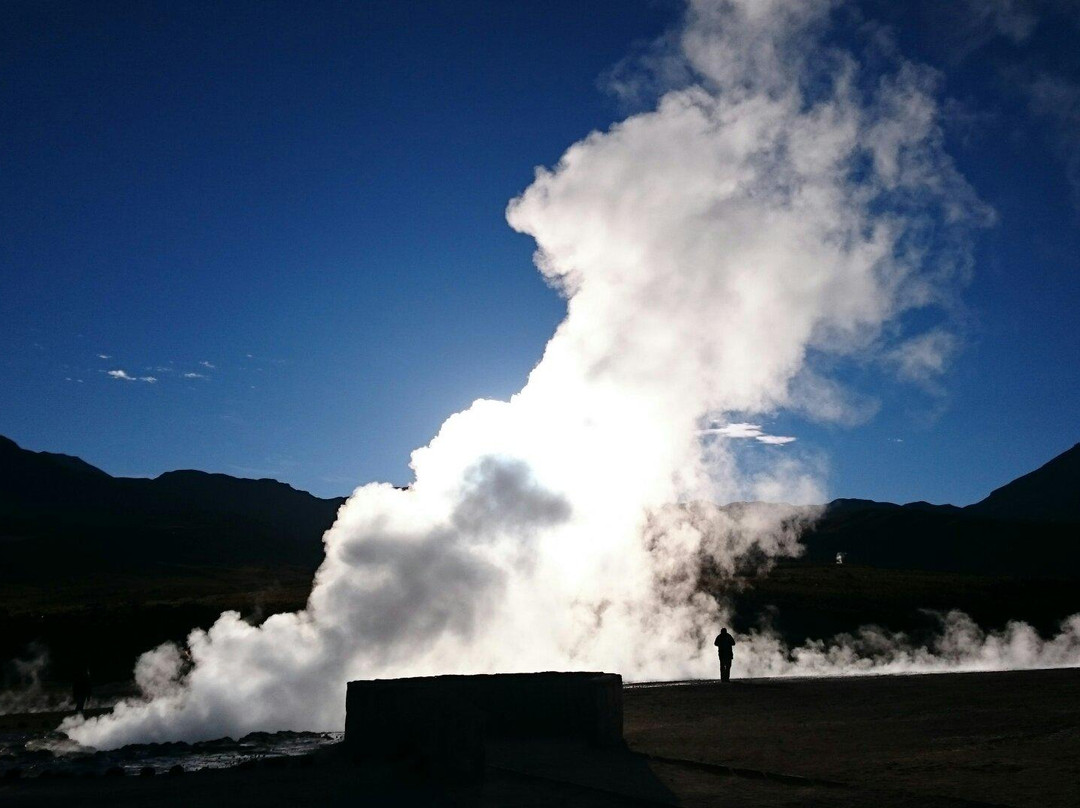 圣佩德罗-德阿塔卡马旅游景点-Geyser del Tatio