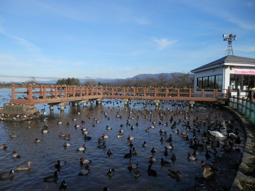 Hyoko Hakucho Kaikan-阿贺野市必去景点