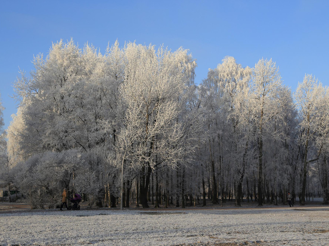 The Amusement Park in the Yesenin's Park-圣彼得堡必去景点