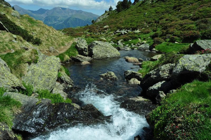 Tristaina Lake Trail景点图片