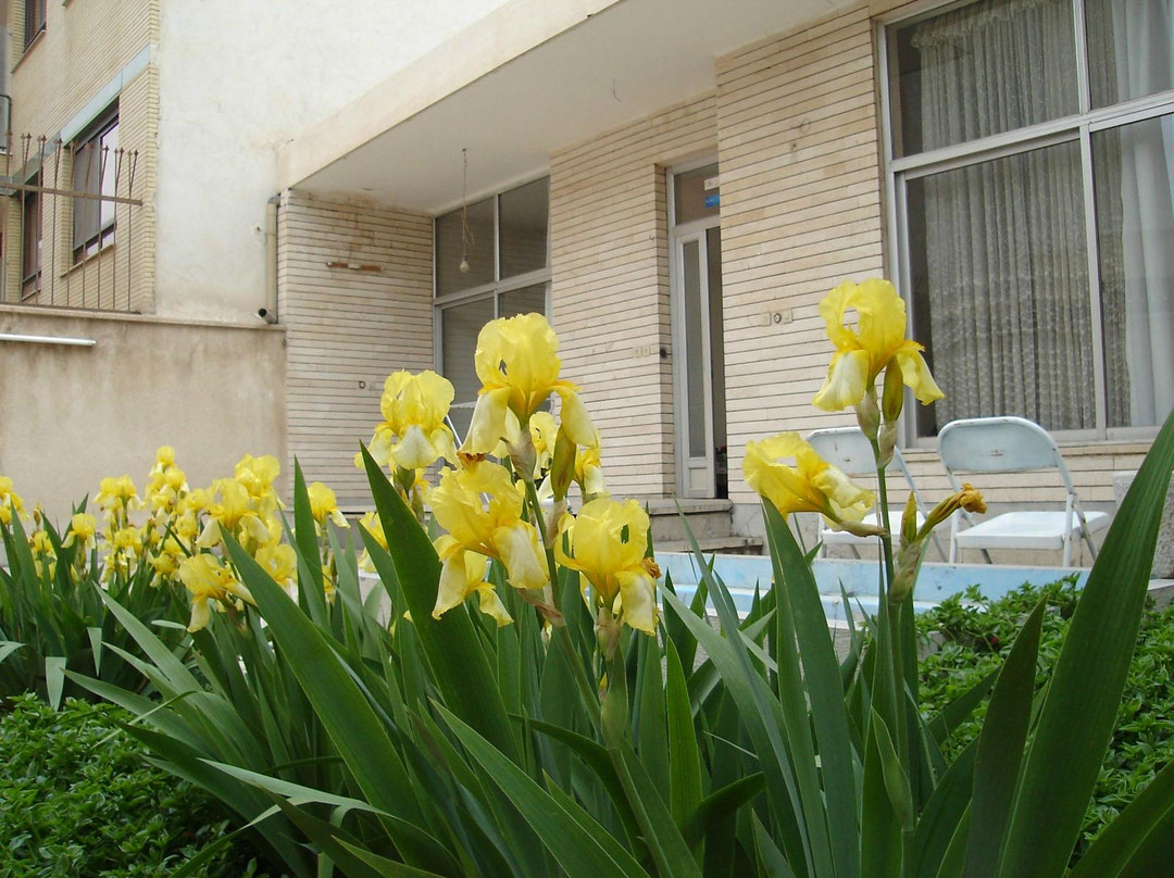 Nik Guest House主图