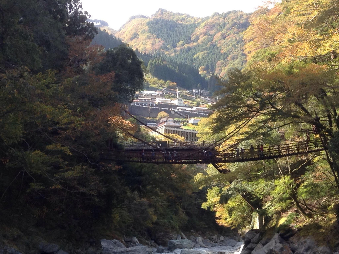 Okuiya Niju Kazurabashi Bridge-三好市必去景点