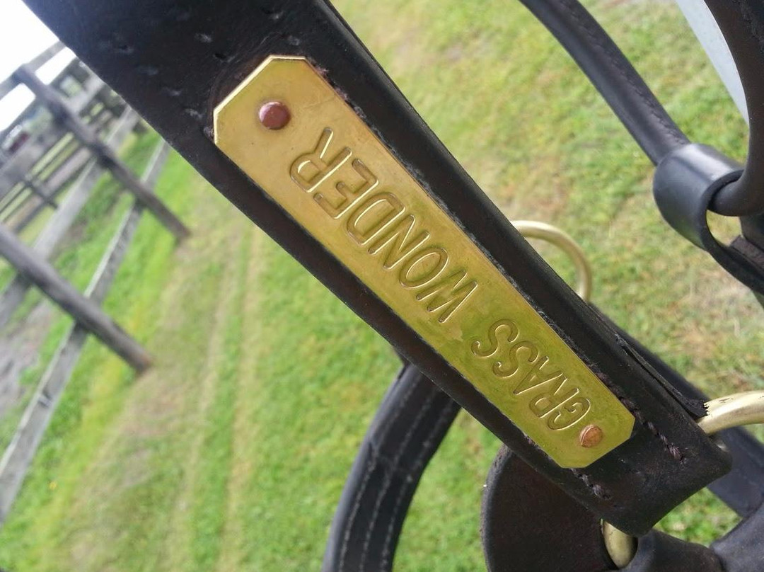 Breeders Stallions Station-日高町必去景点