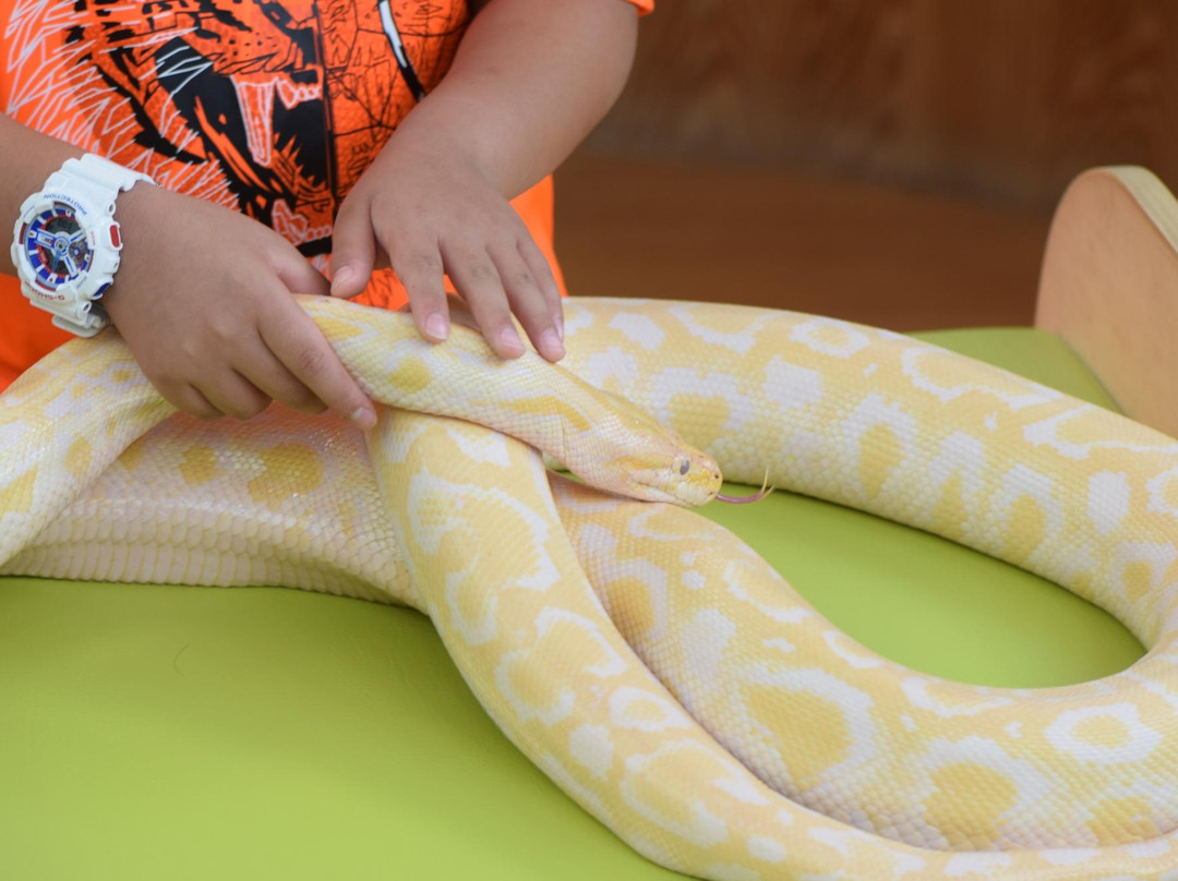 Eco Parkland Zoo-咸平郡必去景点