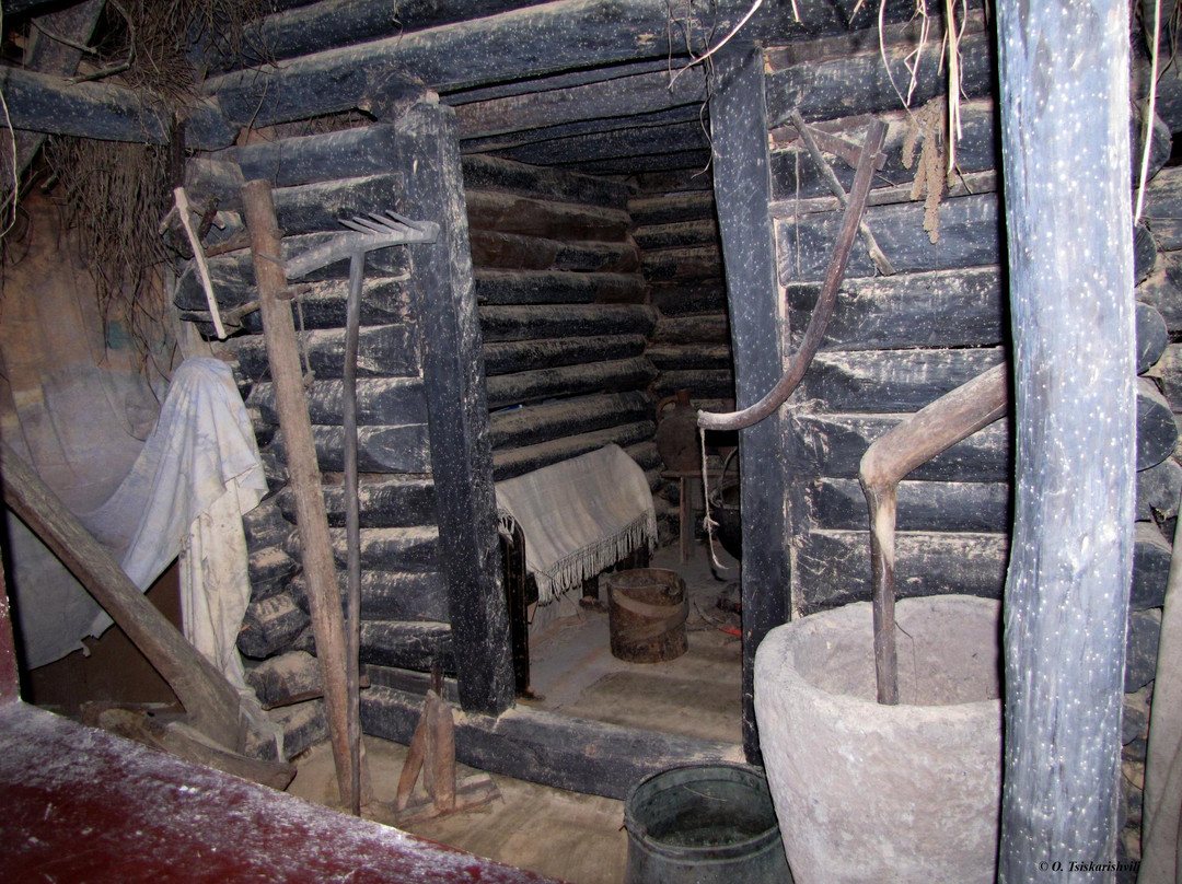 Poti Museum of Colchian Culture-Poti必去景点