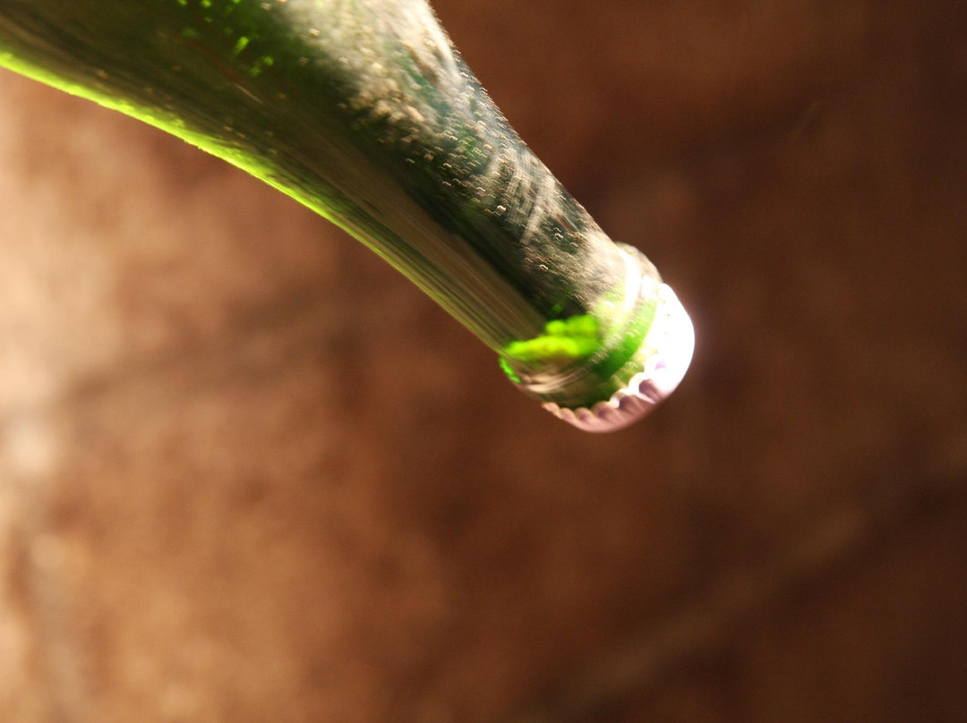 Champagne Banette-Tauxieres-Mutry必去景点