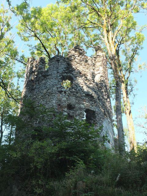 Burg Fluhenstein景点图片