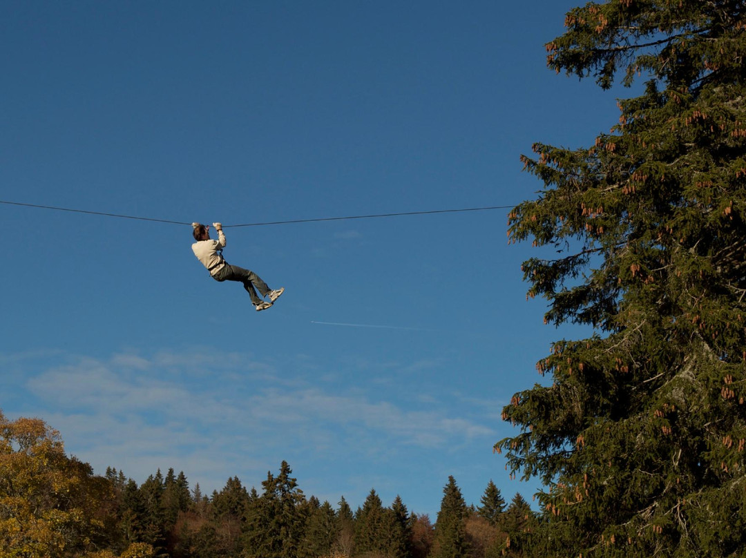 Forest Jump景点图片