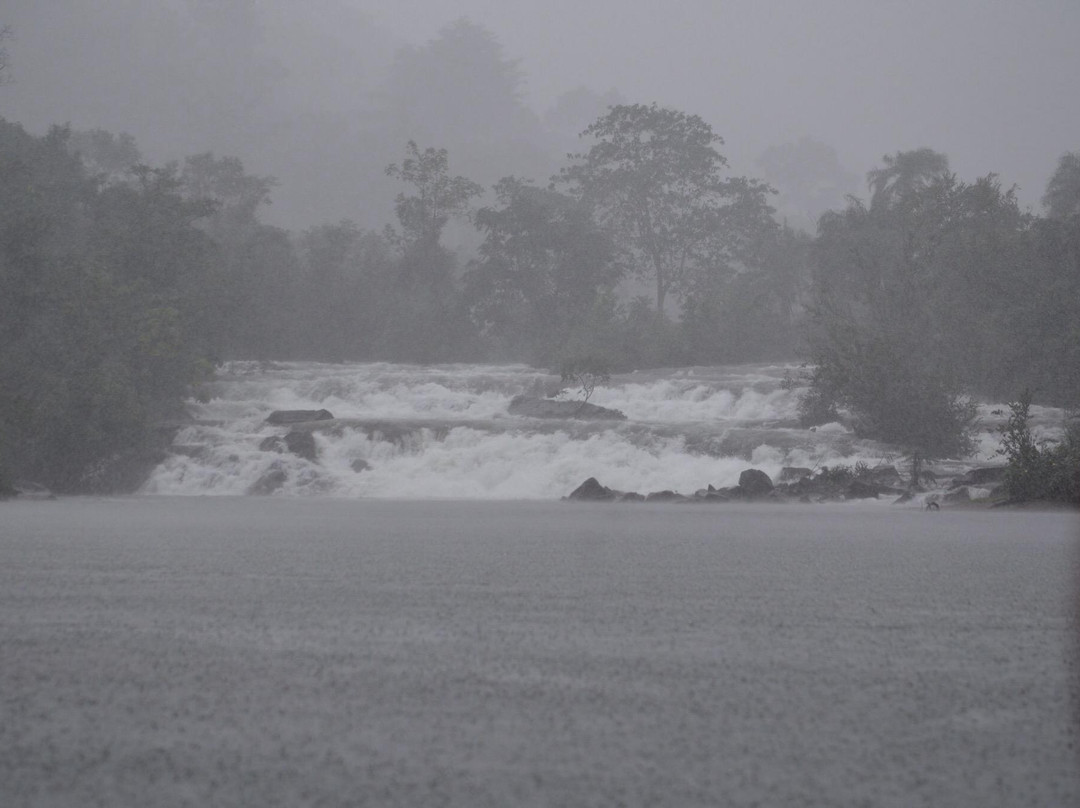 River # 2 Sierra Leone主图