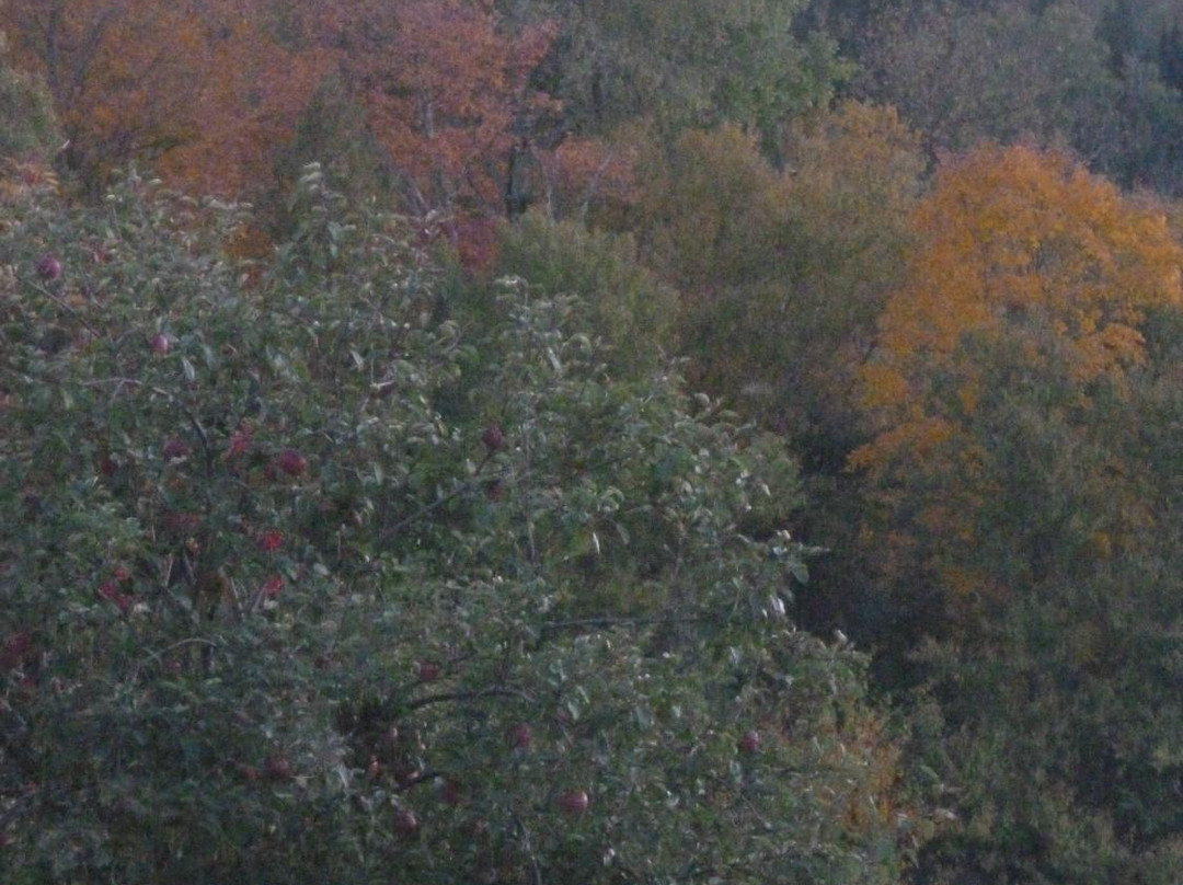 The Keazer  Farm Bed & Breakfast主图