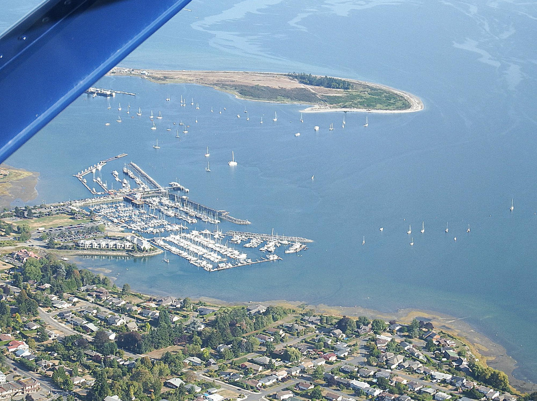 Harbour Air Seaplanes景点图片