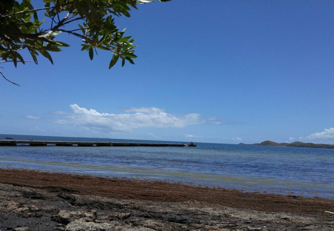 Reserva Natural Medio Mundo y Daguao-Ceiba必去景点